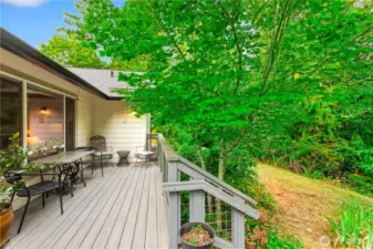 Back deck upgraded to Trex decking