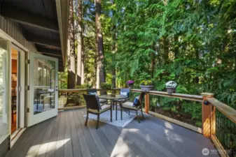 Entertaining balcony off the dining room. Can access from the side yard also.