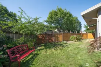 Fully fenced in yard features fruit trees, plums, pears, and cherrys.  Loads of flowers, veggie garden and privacy.