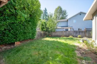 Yes....even more yard with a shed for outdoor storage.