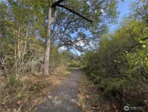 Enjoy the beautiful trails just behind the complex