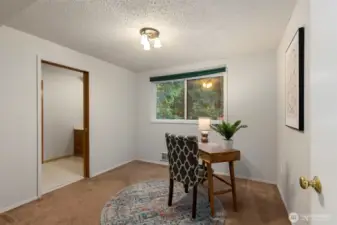 Downstairs 3rd bedroom