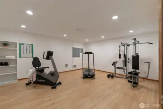 Downstairs home gym with all equipment included!