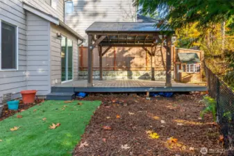 Pet friendly turf grass