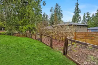 Fenced fruit trees at back of property.