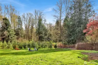 Enjoy peaceful views with no direct rear neighbors! Natural creek enhances the sense of tranquility and escape!