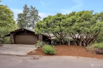 The front of the home is gracious, yet understated, with mature landscaping and specimen plants.