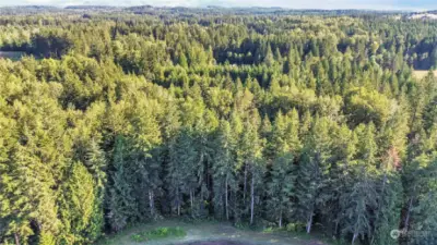 21 acres, surrounded by trees and located in McKenna Forest Reserve, a gated 4000 acre community. Miles of riding trails, parks, lakes, ponds and 5 gated entrances. You'll enjoy it here!