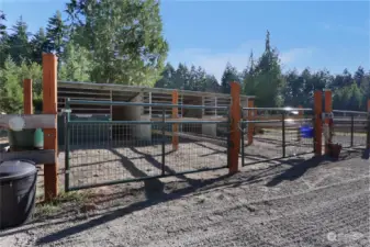 5 total Nobel Stalls with Paddocks. Sand footing, stall mats