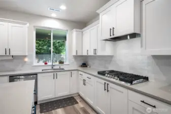 Kitchen - View From