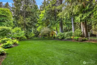 Manicured Yard
