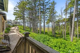 Promenade leading to the beach