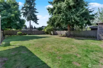 This is a huge backyard.