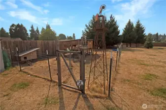 The fully fenced chicken coop!