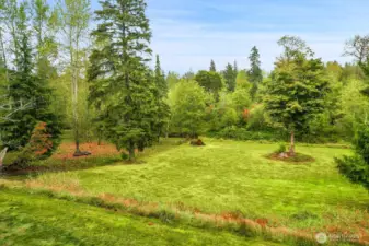 This shows the lower lawn