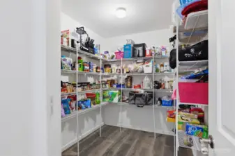 Large walk-in pantry adjacent to the kitchen.