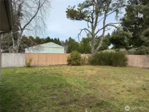 Fenced yard