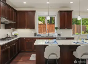 Kitchen Bathed w Natural Light