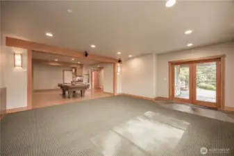 Living Room #2 Lower Level
