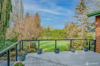 Back Deck
