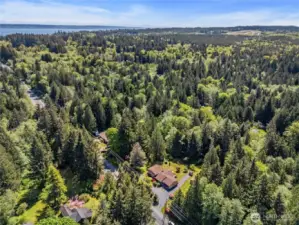So very conveniently located in an area where trees are valued.  The high school and middle school are just down the street and the ferry terminal a bit further