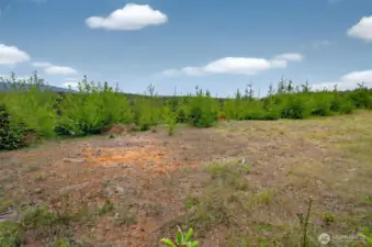 Landing