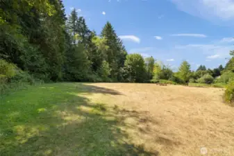 Don't miss looking at the community green space