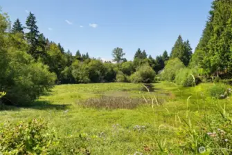 Community pond area