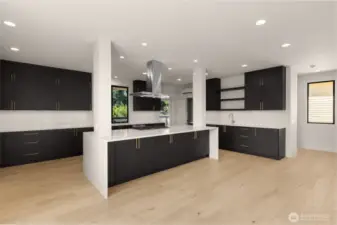 Beautiful cabinets, Quartz counter tops and large center island