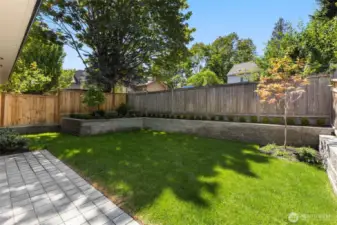Low maintenance fenced back yard