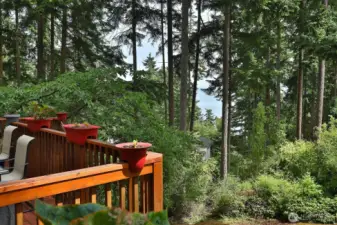 You have views of the Salish Sea and are a short stroll to Long Point beach or to Coupeville's waterfront. Let's go back inside and check out the living room....