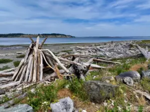 Come enjoy the shores of Long Point.