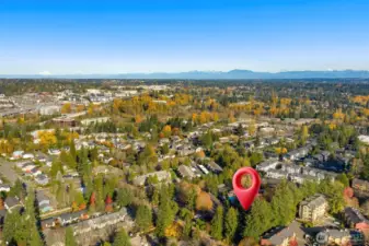 Lush, park-like setting.