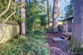 Privacy abounds!  The lot is 7000+ square feet and provides year round entertainment in the form of nature at her very best!