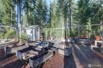 Enclosed Raised Beds Keep the Deer and Rabbits Out.