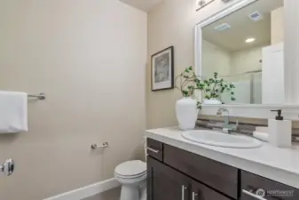 Lower level bathroom