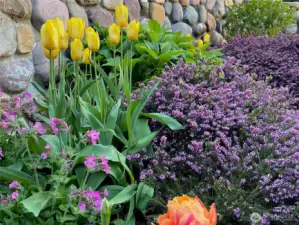 Many flower varieties blooming in the gardens surrounding this stunning home