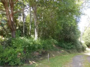 This is off Bahama... which is the Lower side of the Lot... up into the Woods on the Left is our Subject Property!! Survey Stakes along the bottom of Lot or East Side of Lot!!