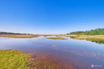 Watch geese and ducks hatch their babies on seasonal "Breakers Lake".