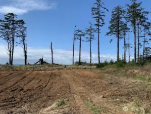 Plenty of room to build your dream home!