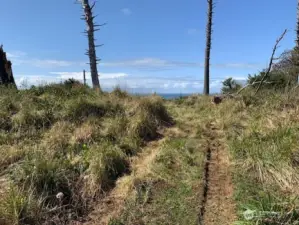 Trail to back of property.