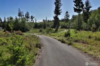 Looking from the driveway, west toward Woodland Lane.