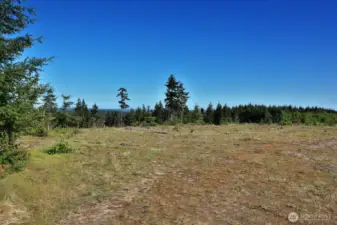 Looking southwest from the cleared building pad.