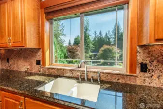 South-facing Kitchen Window