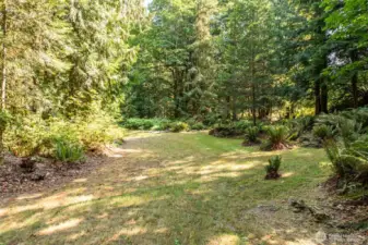 Nature Trails