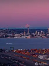 Seattle is spectacular. The Magnolia nieghborhood offers a quiet home base.