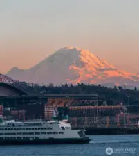 Majestic Mt. Rainier from Seattle