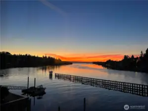 We are tied to the ocean. We have in our veins the exact same percentage of salt in our blood that exists in the ocean. When we go to the sea, whether to sail or watch - we are going back from whence we came. John F. Kennedy