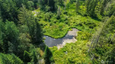 Beaver pond on the NW of property