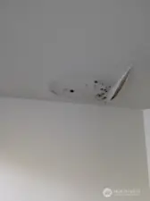 Several locations in the home have water intrusion/mold issues.